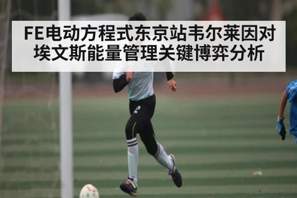 FE电动方程式东京站韦尔莱因对埃文斯能量管理关键博弈分析